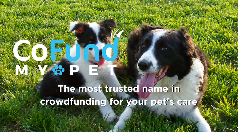 The most trusted name in pet health crowdfunding-2.png