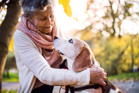 Caring for Senior Pets & Avoiding Economic Euthanasia.jpg