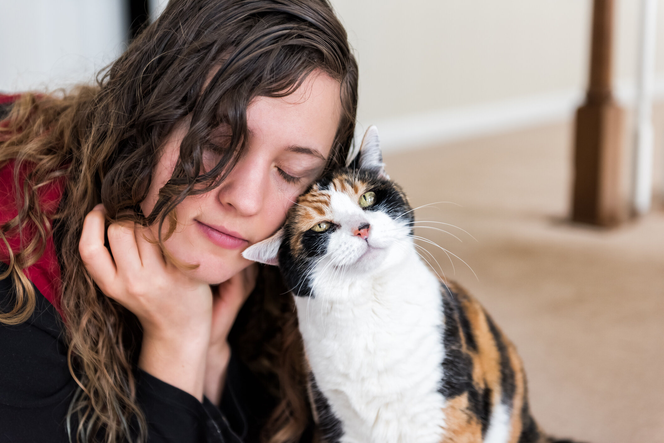care your cats healthcare.jpg