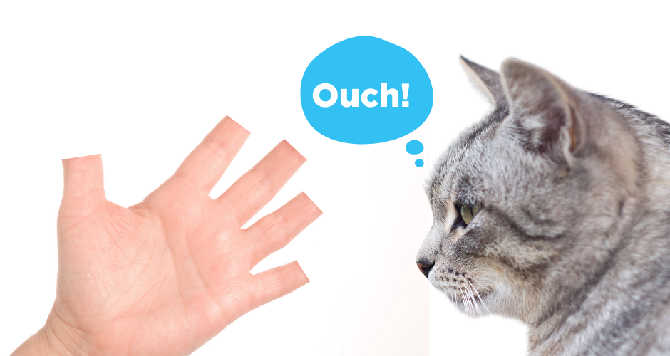Would you cut off your fingertips?