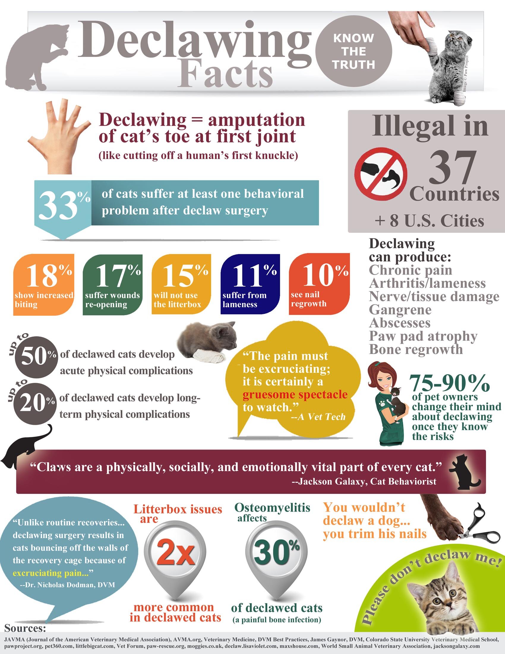 Infographic by Emily of Valley Cats Rescue of Appleton/Neenah/Oshkosh, WI